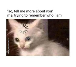 Cat Thinking Meme Template