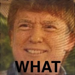 Trump What Meme Template
