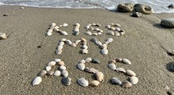 James Comey sea shells Meme Template