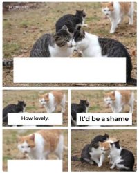 cat being jerk Meme Template