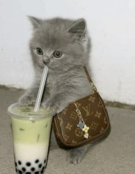 Happy National Boba Day Meme Template