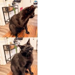 Olu’s Drake Meme Template