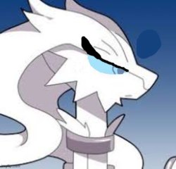 Verita the Reshiram angry Meme Template