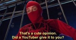 That's a cute opinion. Did a Youtuber give it to you? Meme Template