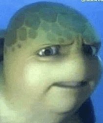 disgusted turtle Meme Template