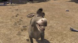 Donkey smiles Meme Template