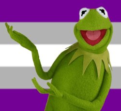 kermit Meme Template