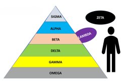 Male genders Pyramid Meme Template