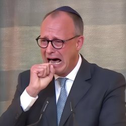 Crying Bundeskanzler Merz Meme Template