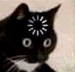 Confused Cat Meme Template