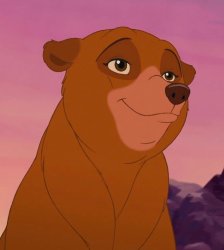 Bear Nita Meme Template