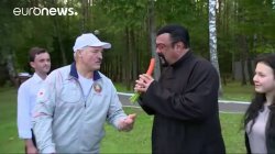 Segal eating a pumpkin's dick. Meme Template
