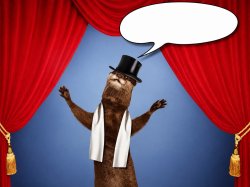 Overdramatic Showman Otter Meme Template