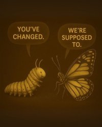 caterpillar "we're supposed to" to butterly Meme Template