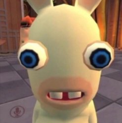 Rabbit Meme Template