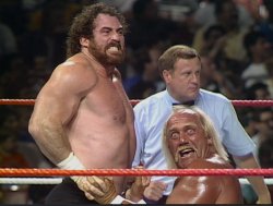 Hogan on his knees Meme Template