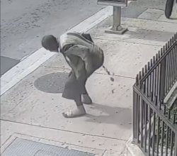 Street Pooper Meme Template
