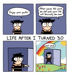 Life After I Turned 30 Meme Template