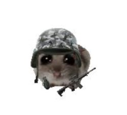 Sad military hamster Meme Template