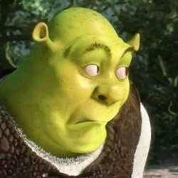 Shrek Meme Template