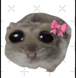 Hamster Meme Template