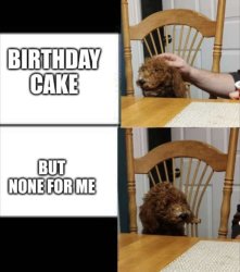 But not for me dog Meme Template