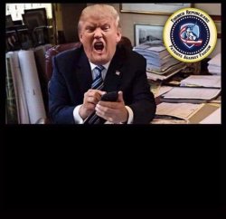 Donald Trump angrily posting on social media Meme Template