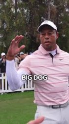 Happy Birthday Big Dog Meme Template