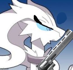Verita the Reshiram with a gun Meme Template