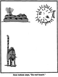 Far side do not touch template Meme Template