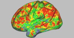 Orange brain Meme Template