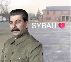 Stalin sybau Meme Template
