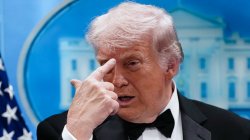 Trump finger Meme Template