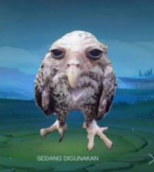 Diggiedaw Meme Template