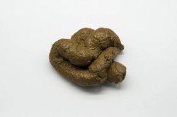 Poo Meme Template