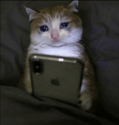 Sad Cat Meme Template