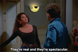 They’re real and they’re spectacular Meme Template