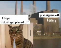 pissing me off factory Meme Template