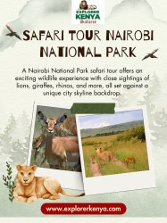 Safari Tour Nairobi National Park Meme Template