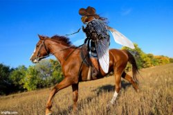 Horse Fly Meme Template