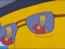 Homer You just don't learn Meme Template