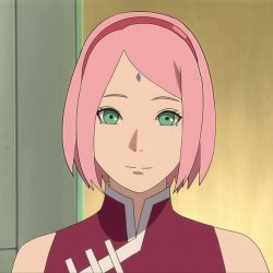 Sakura Meme Template
