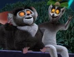 Madagascar Lemurs Meme Template