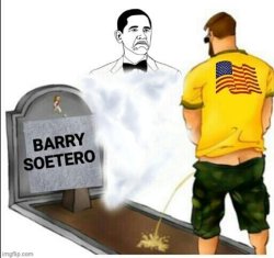 Patriot pays respects to Dingle Barry Meme Template