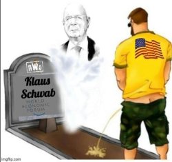 Patriot pays respects to Schwab Meme Template