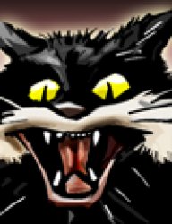 Starveling Cat Meme Template
