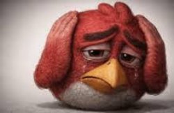 Angry bird Meme Template