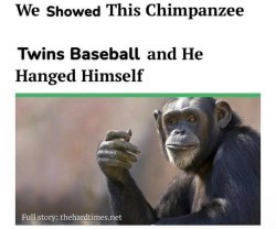 We shoed this chimpanzee Meme Template