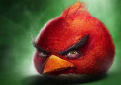 Angry Birds Face Meme Template