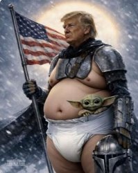 Trump Mandalorian disgusting Meme Template